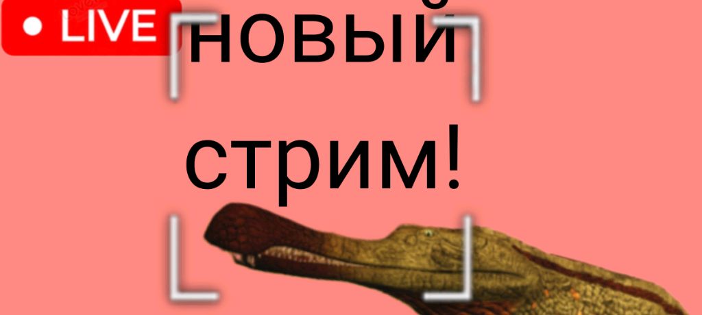 Играем в курсед!