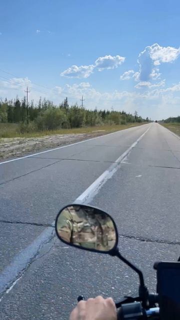 Первая поездка в лес