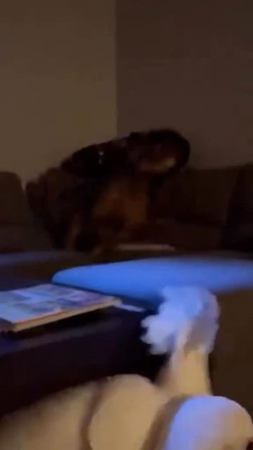 Крепких вам нервов 🦜