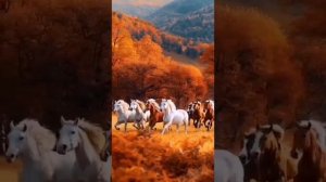 Шәмсиә Вәхитова - Матур итеп йәшәйек!