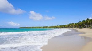 Пенсионеры