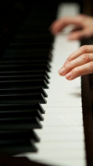 Gibran Alcocer — Idea 1