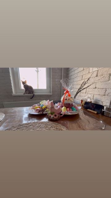 #berezovskii #berezovsky