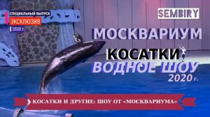 МОСКВАРИУМ: КОСАТКИ И ДРУГИЕ. ВОДНОЕ ШОУ. ЭКСКЛЮЗИВ. ЕЖЕДНЕВНО. Выпуск от 07.06.2021