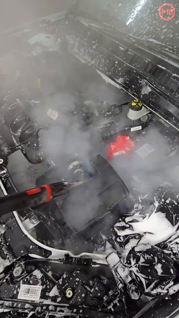 Мойка М3. Мойка двигателя паром