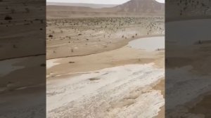 Видео от HackAvto – Лайфхаки и фишки для авто