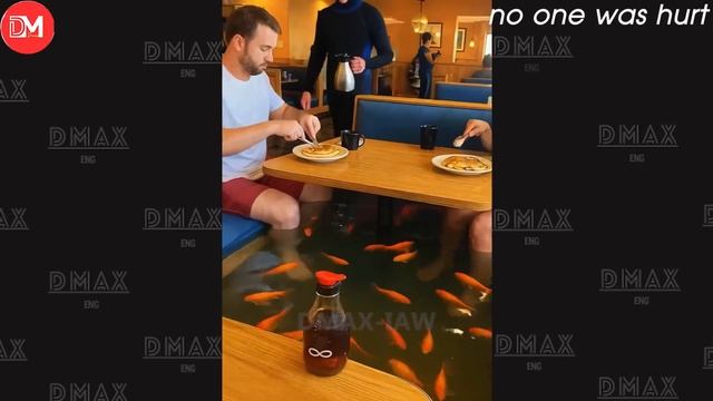 Приколы смотреть. Юмор. Посмеяться