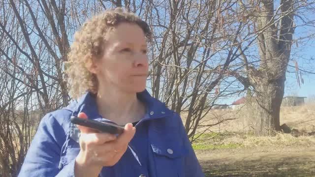 Перевод от незнакомца 25.000 рублей, надо вернуть?