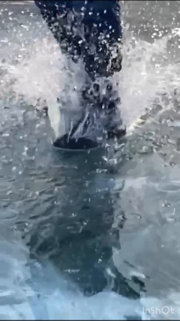 Каждый радуется весне по своему#байкал#лед#весна