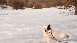 Ремонт в Коломенском