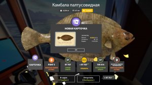 ТАК НА МОРЕ ВЫ ЕЩЕ НЕ ТРОЛЛИЛИ, АКТИВНЫЙ КЛЕВ И РЕДКИЕ РЫБЫ НА МОРЕ В РУССКОЙ РЫБАЛКЕ 4 РР4