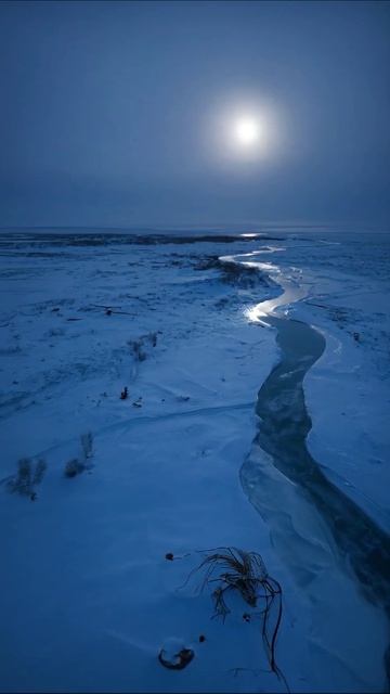 Ночной пейзаж зимней реки под луной #зима #ночнойпейзаж #природа