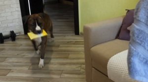 Tcenniy Prize Poker 22 m.