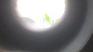 Вид на рай с телескопа