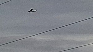 самолёт решил заснять