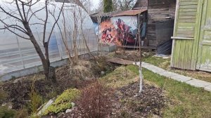 18-04-2026.Дача..навожу порядок вдоль теплицы.(11.04-12.04.26)