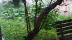 Ливень Камышин 14072022