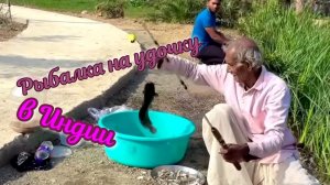 Рыбалка на удочку. Индусы жгут