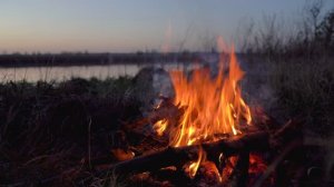 4К Костер на берегу озера. Релаксирующие звуки майской ночи. Релакс Ultra HD