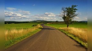 Дорога судьбы - Владимир Мещеряков(сл.Н.Тихонова)