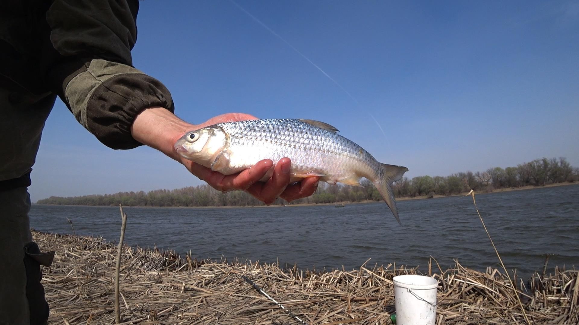 Начался ХОД ВОБЛЫ! Астраханская ВОБЛА 2021! Рыбалка в СИЛЬНЫЙ ВЕТЕР! Бешеный клёв воблы!