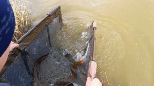 "Кубок Бизяевых 2026"