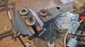 Клетки готовы, пасхальные цыплята, подготовка к стройке полным ходом.