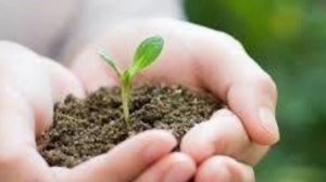 Обновление энергий поджелудочной железы. 08.04.26.