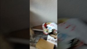 осмотр посёлка где дача моей сестры 👨👩👧👧