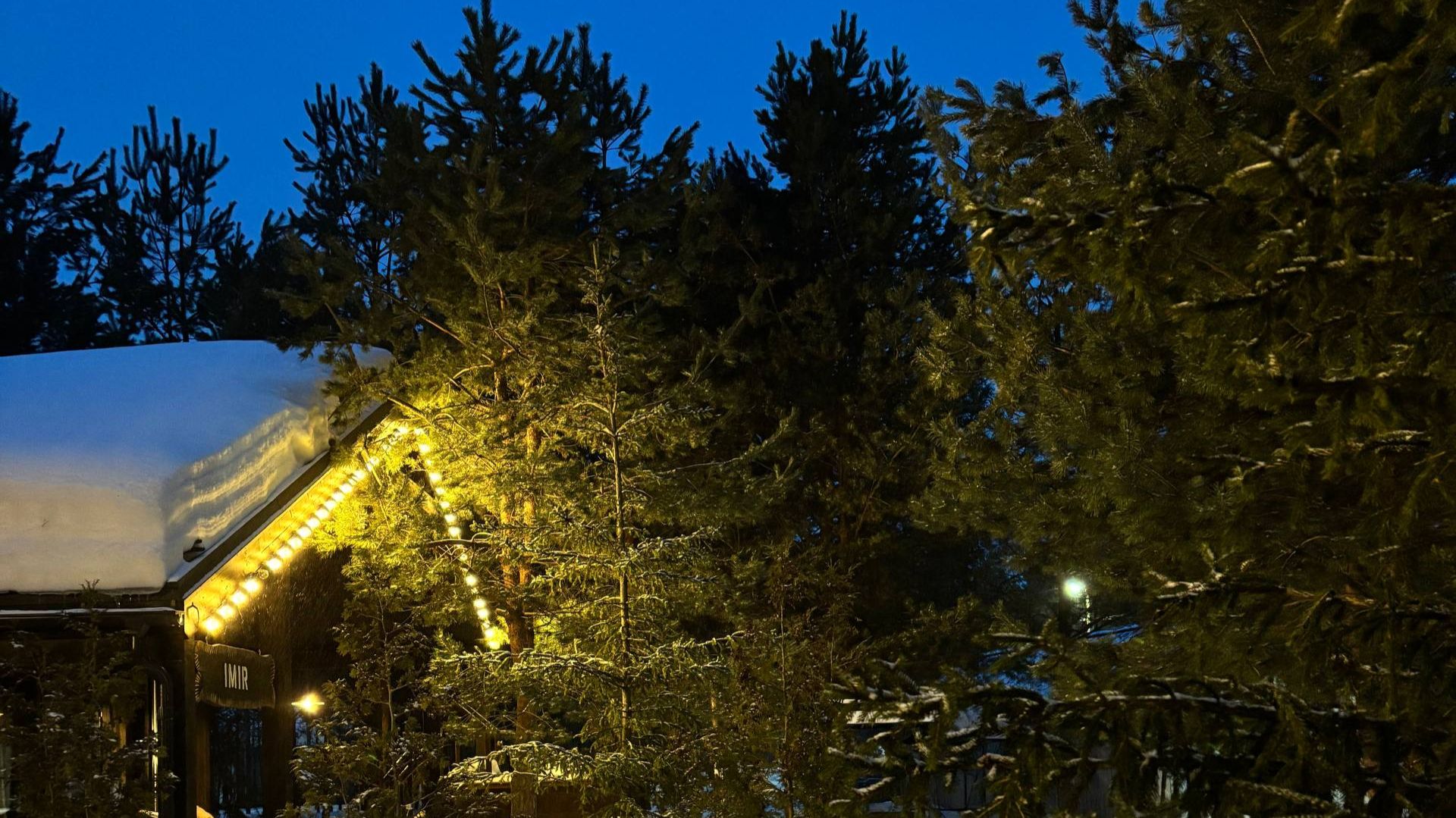 Празднуем 8 марта в местечке под названием Берлога .