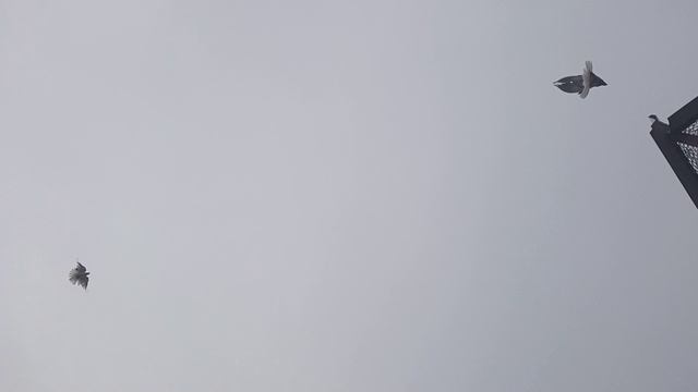 Назначена ярмарка на 25.04.26, г. Самара