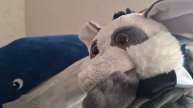 КОТ БАСИК. Шоу Кота и Кита. Выпуск 2. День рождения.