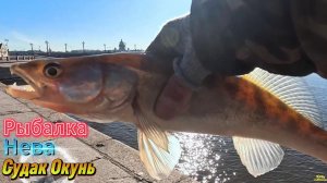 РЫБАЛКА НА НЕВЕ СУДАК ОКУНЬ АПРЕЛЬ ОТВОДНОЙ ПОВОДОК -1 ЧАСТЬ ВИДЕО РОЛИКА