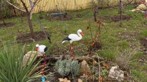 Погода нас не радует !  Но я прошел по городу показал что и как