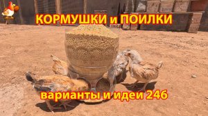 Кормушки и поилки для кур своими руками 246 🪚✂️ Пошаговая инструкция как сделать 🐔 🐓❣️