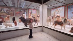 ЭКСКУРСИЯ Государственный Дарвиновский музей