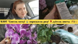 ВЛОГ"Сожгла пятку 😢,пересадила розу🌹,купила цветы!)🐣🥚