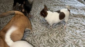 Сегодня утро очень бодрое, всем чудного начала дня!