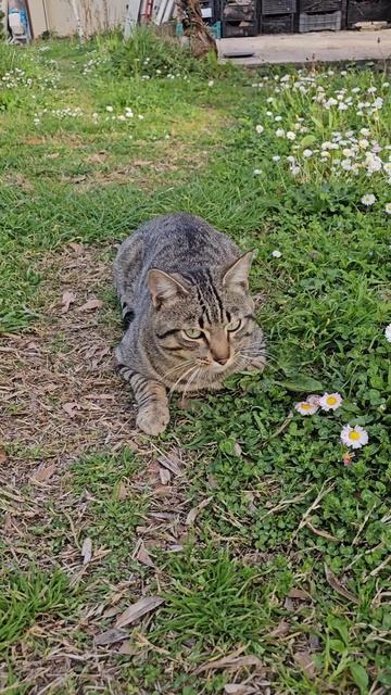 Почему хорошие девочки болеют чаще злых