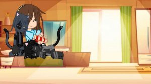 сегодня утром.......
черный кот это Семён, серая кошка Мюся