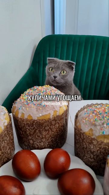 Частушки от Котямбика: Пасха светлая пришла!😊