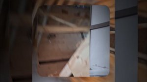 1000055840.mp4 (Собака наблюдает за устройством лестницы на 2-ой этаж в доме А-фрейм)