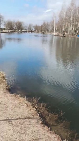 Видео обзор СПОРТЗОНА 🎣 Рыболовный клуб и база семейного отдыха «Чайка» 12/04/26