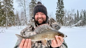 ✅ КРУПНЫЙ ХАРИУС НА ТАЁЖНОЙ РЕЧКЕ 🎣🐟 l ПУТЕШЕСТВИЕ НА СНЕГОХОДАХ 5 марта 2026. #РыболовСевера