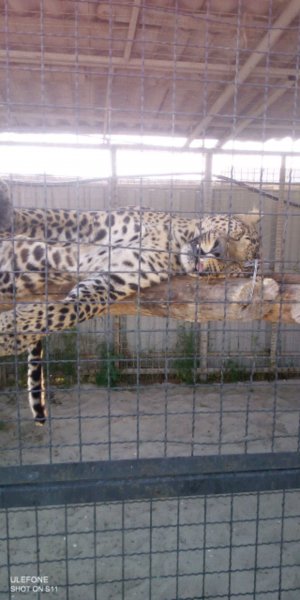 хейтиры или мой подписчик