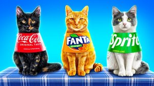 Я vs животные! Челлендж с едой! Лайфхаки для владельцев животных!