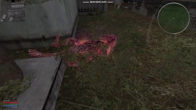 Адский кровосос 😍