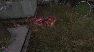 Адский кровосос 😍