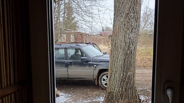 Разговоры у печки новые проекты и капризы погоды