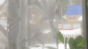 Обзор с окна